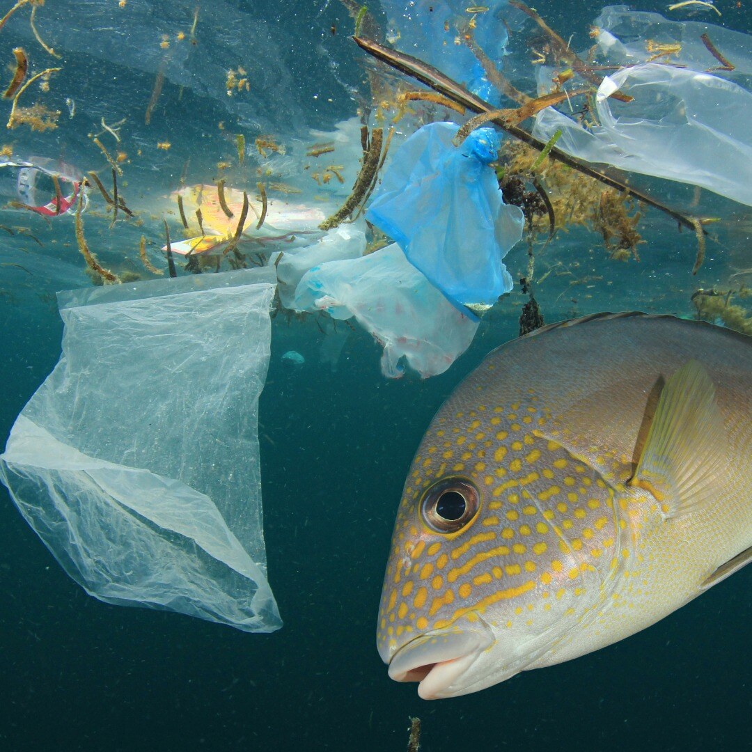 Werken aan een schonere wereld